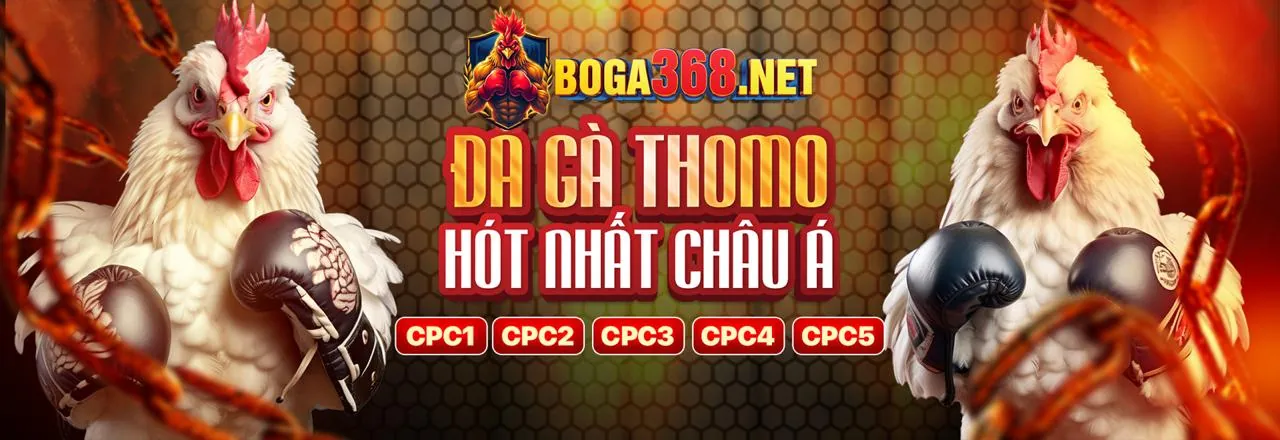 Sòng bạc trực tuyến 6ff19 nhà cái với người chia bài Việt Nam